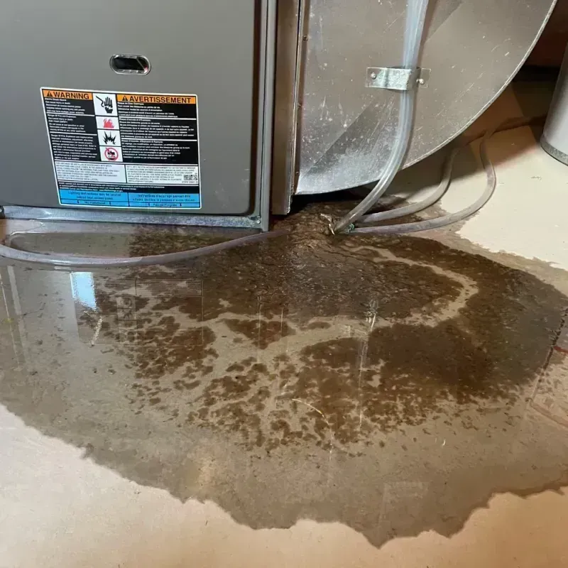 Appliance Leak Cleanup in Smithville, MO